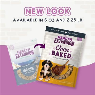 Health Extension Oven Baked Lamb Dog Treats