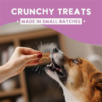 Health Extension Oven Baked Salmon Dog Treats