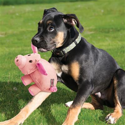 KONG® Phatz™ Pig Dog Toy