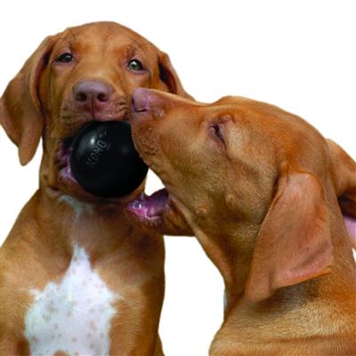 KONG® Extreme Ball Dog Toy