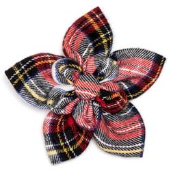 Extra Product Image