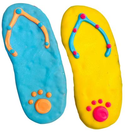 Flip Flop