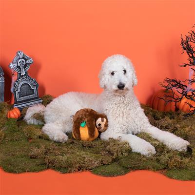 Pumpkin Sloth Plush Dog Toy