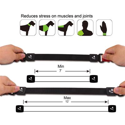 DOCO® Shock Absorbing BUNGEE Leash 4ft