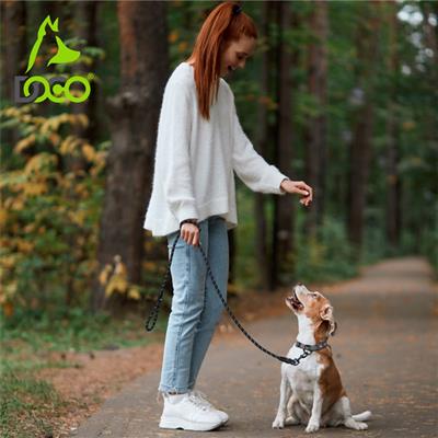 DOCO® Reflective Rope Leash 6ft