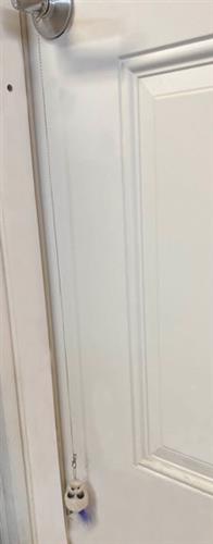 Bat-A-Lure Door Hanger