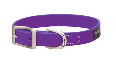 Brahma Webb® Dog Collar or Leash - Purple