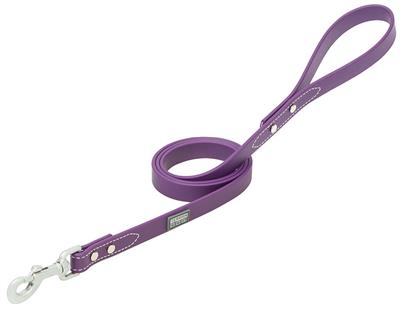 Brahma Webb® Dog Collar or Leash - Purple