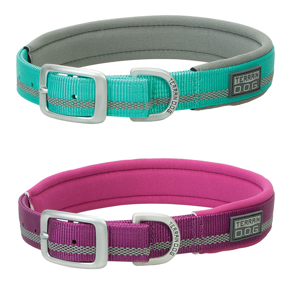 Contrasting Neoprene Lined Dog Collar