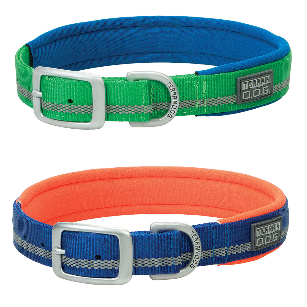 Contrasting Neoprene Lined Dog Collar