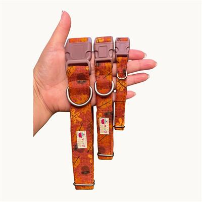 Fall Forward – Acorn Dog Collar | Brown Leaves | Thanksgiving Cat Collars | Organic Cotton Pet Collars & Leashes