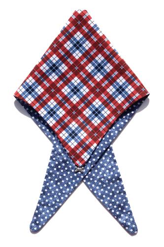 Pawsome Plaid ArfScarf