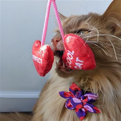 Heart Strings Cat Toy