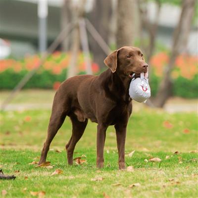 Warner Bros: Bugs Bunny Rope Head Plush Dog Toy