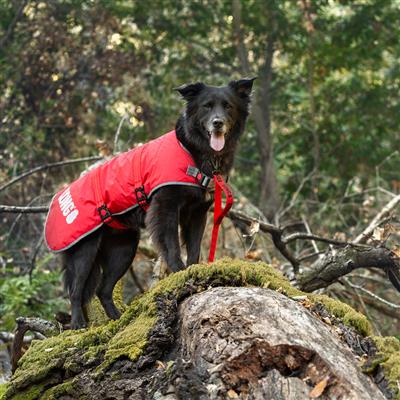Kong Red Rip-Stop Blanket Coat