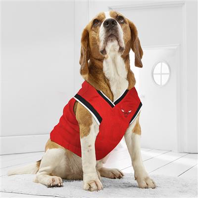 Chicago Bulls Mesh Basketball Jersey by Pets First