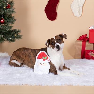 Santa Face Durable Dog Toy
