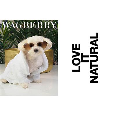Wagberry All About The Kiss Dental Spray - 4 fl. oz.