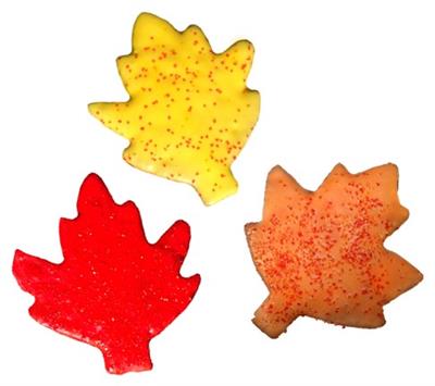 Fall Leaves