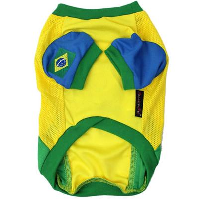 Team Brazil Jersey