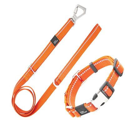 Pet Life�� 'Advent' Outdoor Series 3M Reflective 2-in-1 Durable Martingale Training Dog Leash and Collar