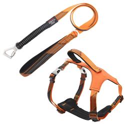 Pet Life�� 'Geo-prene' 2-in-1 Shock Absorbing Neoprene Padded Reflective Dog Leash and Harness