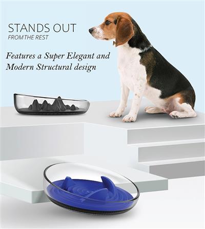 Pet Life�� 'Cirlicue' Shark Fin Shaped Modern Slow Feeding Pet Bowl