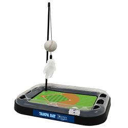 Tampa Bay Rays Baseball Cat Scratcher Toy by Pets First