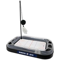 Winnipeg Jets Hockey Rink Cat Scratcher Toy by Pets First