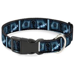 Plastic Clip Collar - $1 Bill X-Ray
