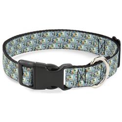 Plastic Clip Collar - 100 Dollar Bill Series 2009 Repeat