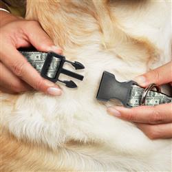 Extra Product Image