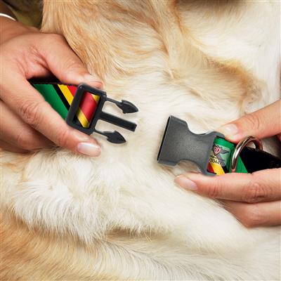 Plastic Clip Collar - Diagonal Stripes Black/Green/Yellow/Red