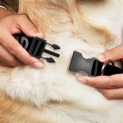 Plastic Clip Collar - ERMAHGERD! Black/Gray