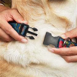 Extra Product Image