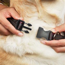 Extra Product Image