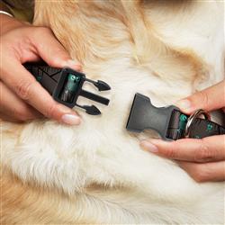 Extra Product Image