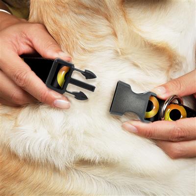 Plastic Clip Collar - Owl Eyes 2