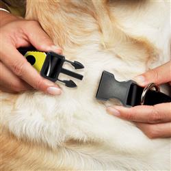 Extra Product Image