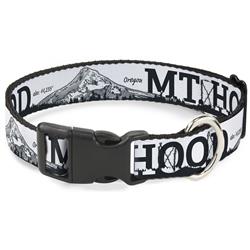 Plastic Clip Collar - Oregon MT. HOOD Scenery White/Grays