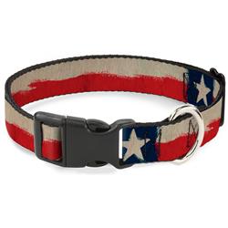 Plastic Clip Collar - Texas Flag CLOSE-UP Distressed Painting