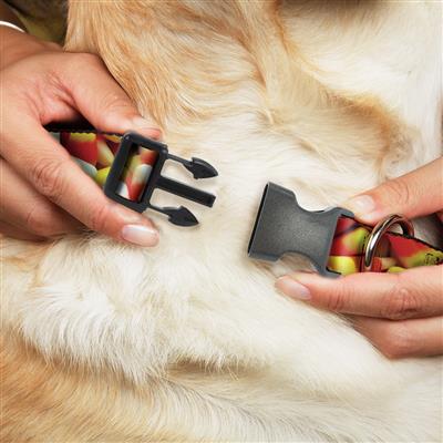 Plastic Clip Collar - Vivid Candy Corn Stacked