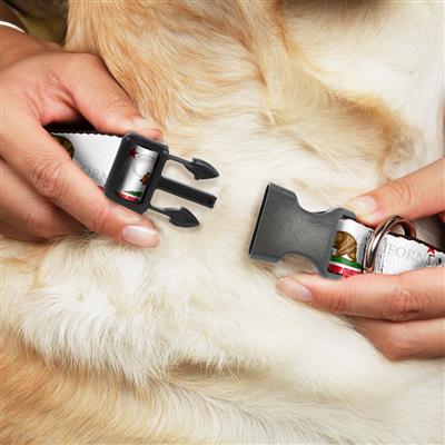 Plastic Clip Collar - CALIFORNIA Bear/Star/Crackle Stripe White/Gray/Red