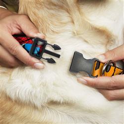 Extra Product Image