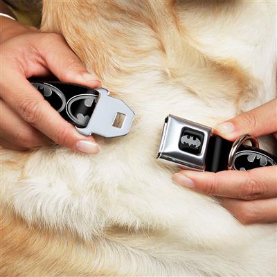 Batman Black/Silver Seatbelt Buckle Collar - Batman Shield Black/Silver
