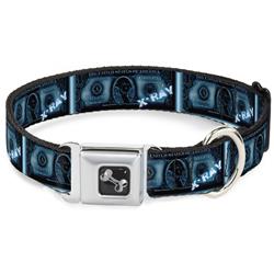 Dog Bone Black/Silver Seatbelt Buckle Collar - $1 Bill X-Ray