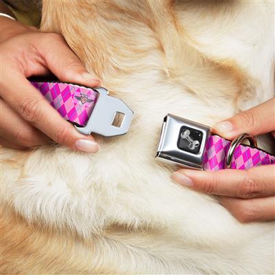 Dog Bone Black/Silver Seatbelt Buckle Collar - Argyle Pink/Fuchsia/Blue