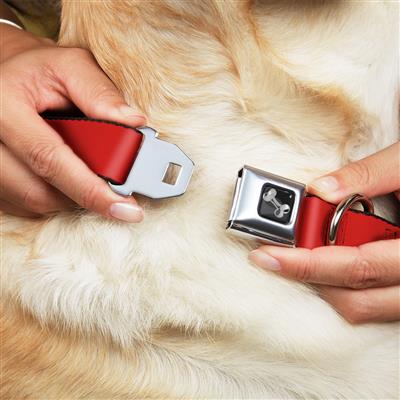 Dog Bone Black/Silver Seatbelt Buckle Collar - Christmas Red
