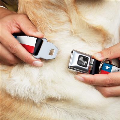 Dog Bone Black/Silver Seatbelt Buckle Collar - Chile Flags