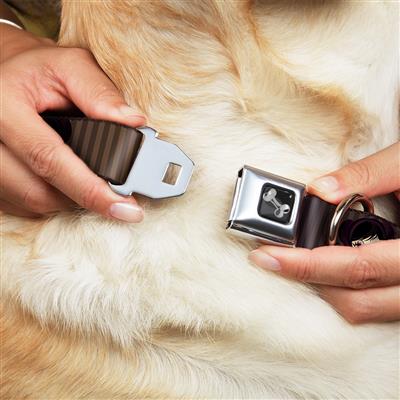 Dog Bone Black/Silver Seatbelt Buckle Collar - Cutesy Girl